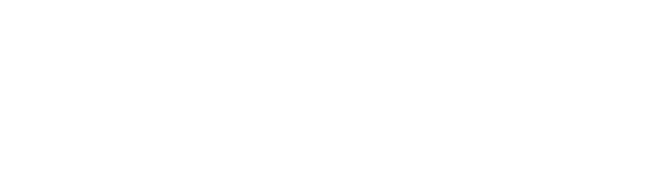 Swiftcom Logo